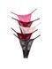 Набір трусиків 5-Pack Lacie String Thong Panties 0615 фото 2