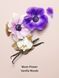 Подарунковий набір Victoria's Secret Midnight Bloom, спрей та лосьйон 0193 фото 2