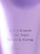 Лосьйон для тіла Victoria's Secret Love Spell 0064 фото 2